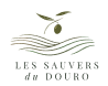História do Douro